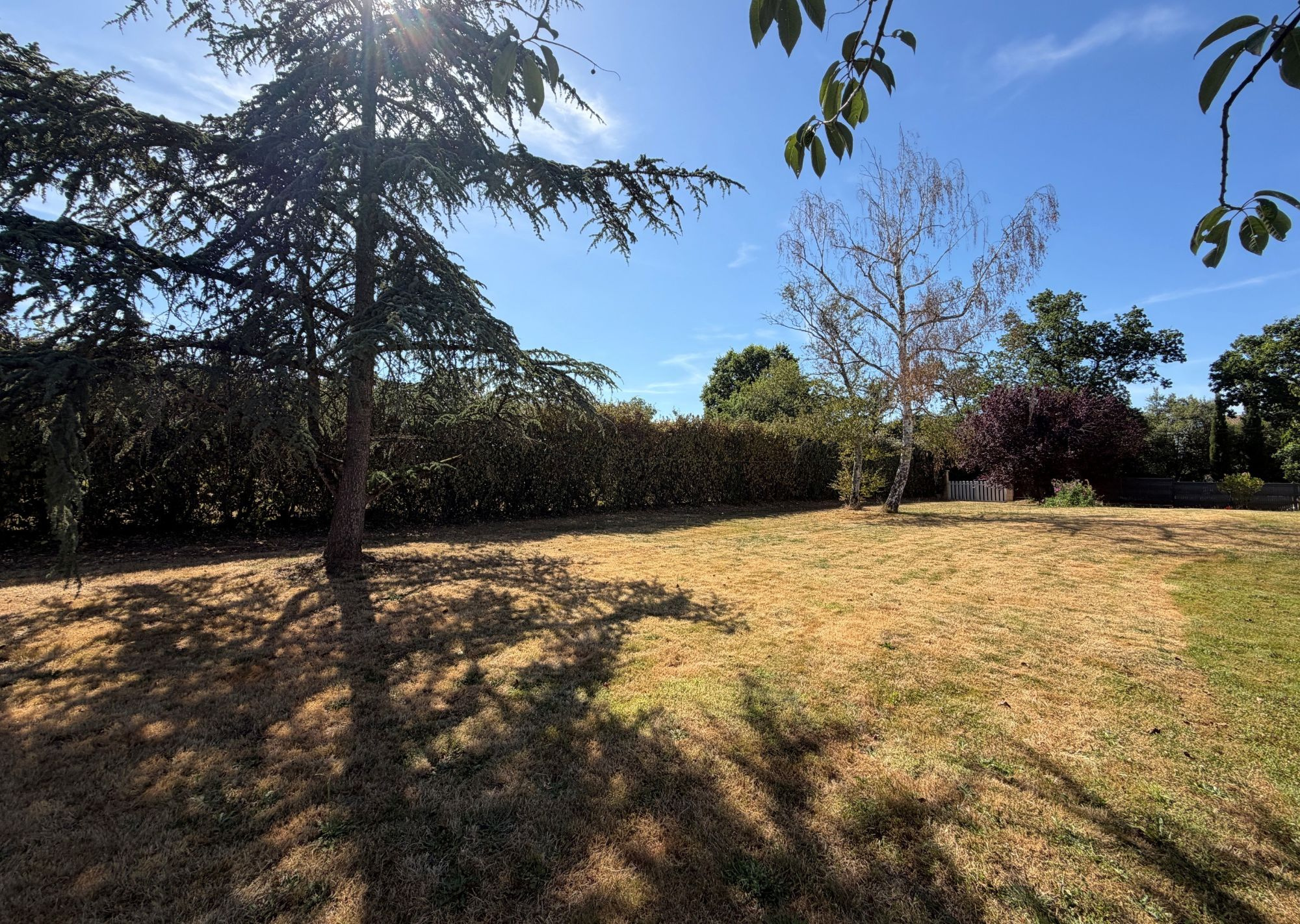 Terrain constructible arboré de 608 m2.